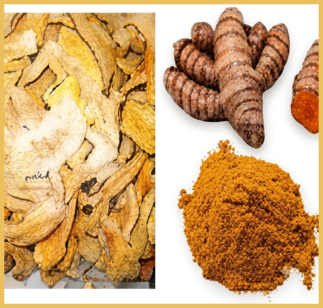 Turmeric 14 (1)